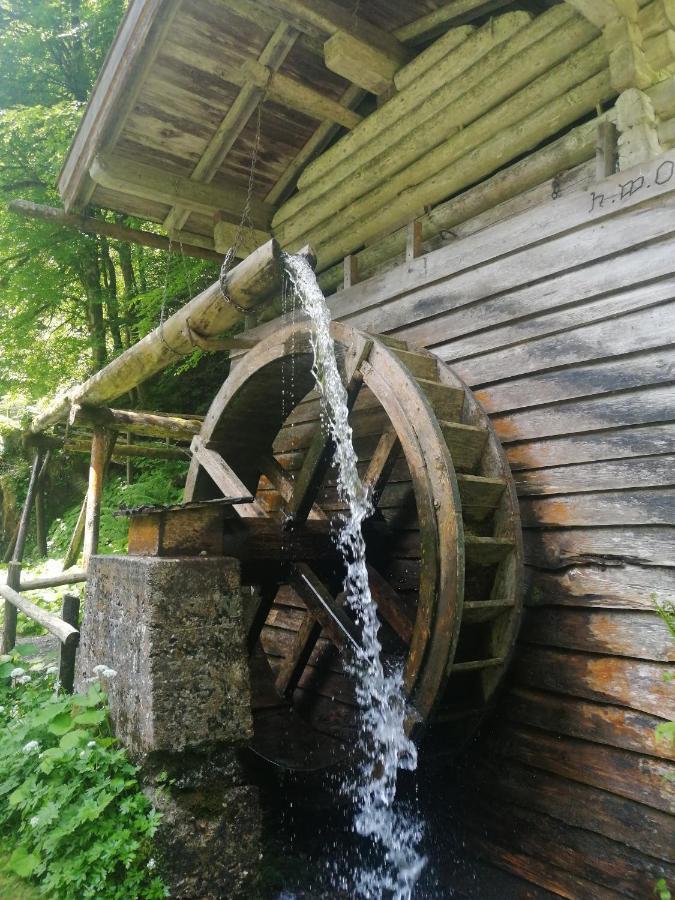 Ferienhaus Krallinger Abtenau Exteriör bild