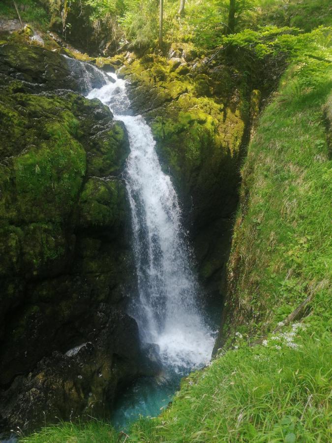 Ferienhaus Krallinger Abtenau Exteriör bild