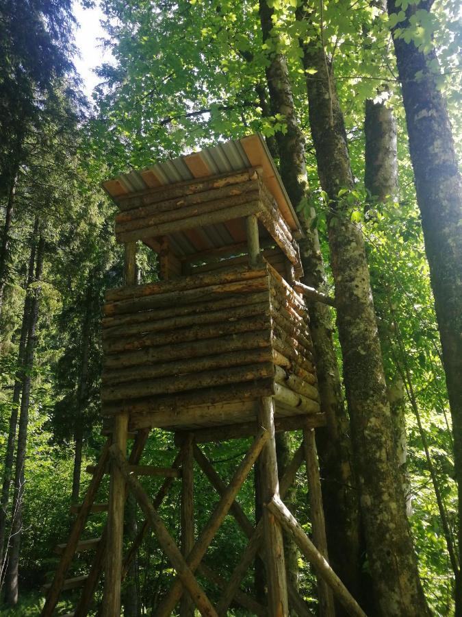 Ferienhaus Krallinger Abtenau Exteriör bild