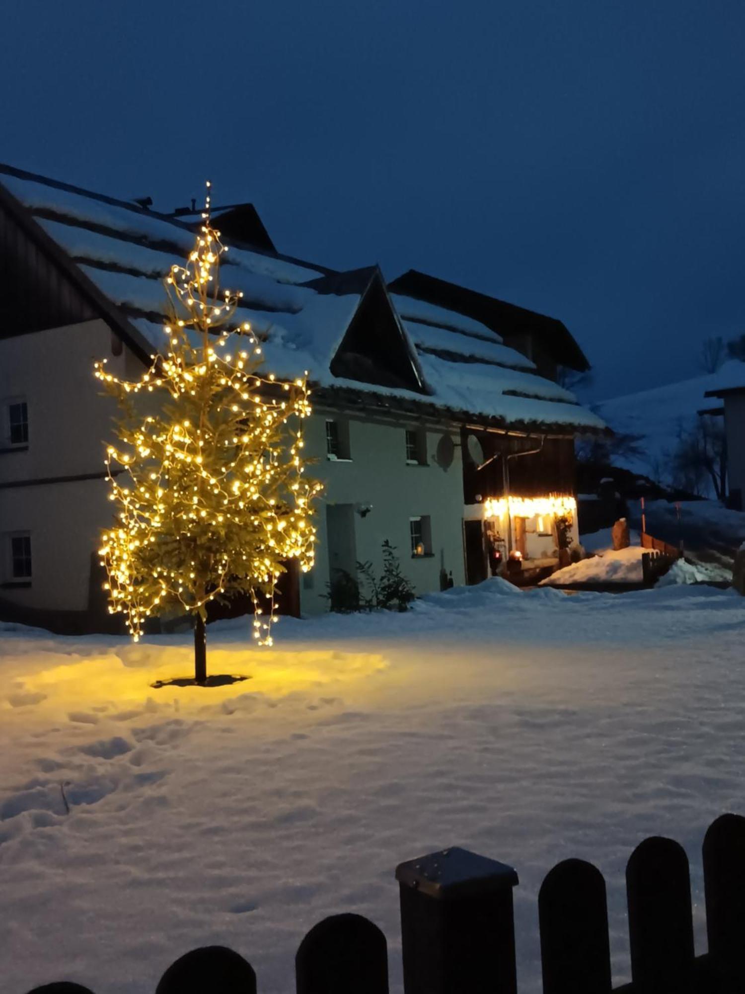 Ferienhaus Krallinger Abtenau Exteriör bild